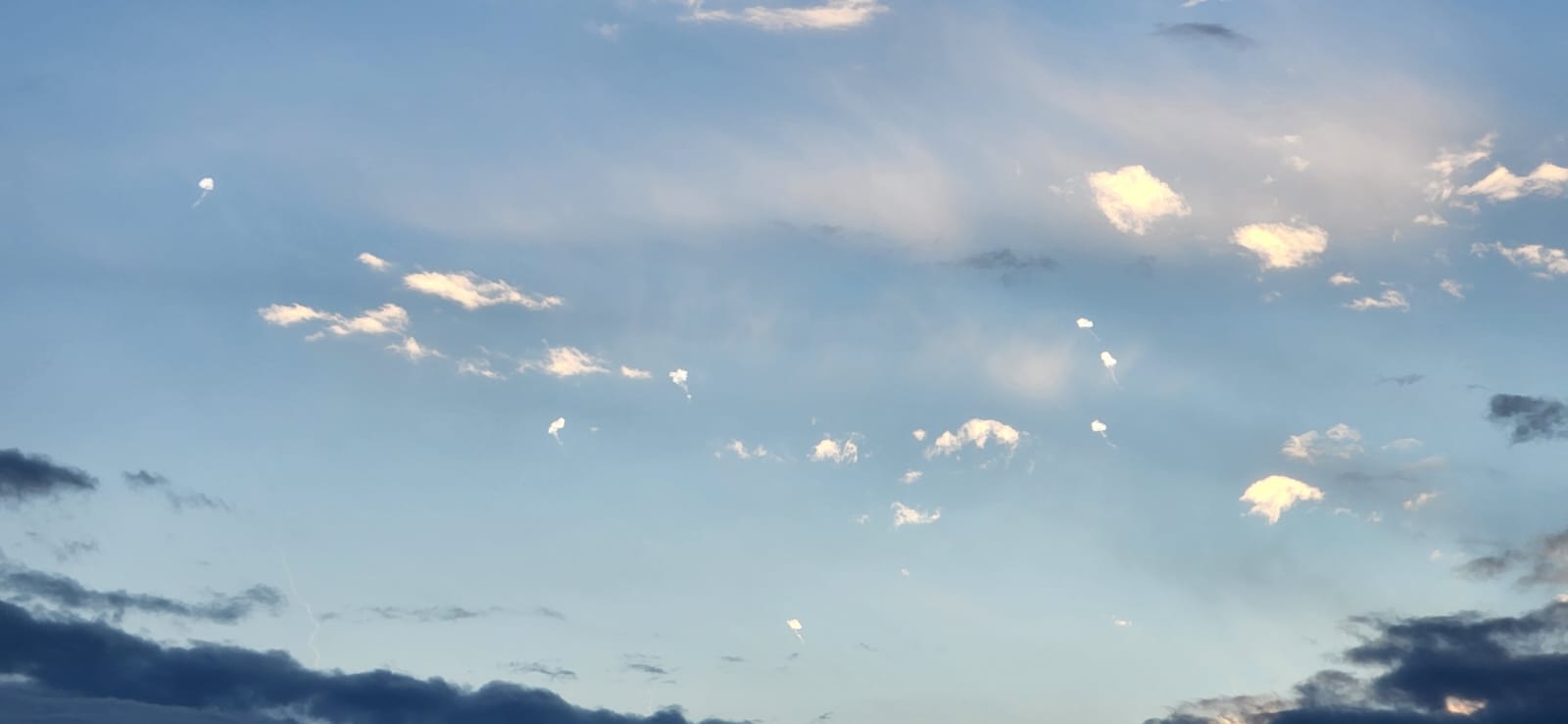 WhatsApp Image 2024-01-29 at 16.54.02.jpeg